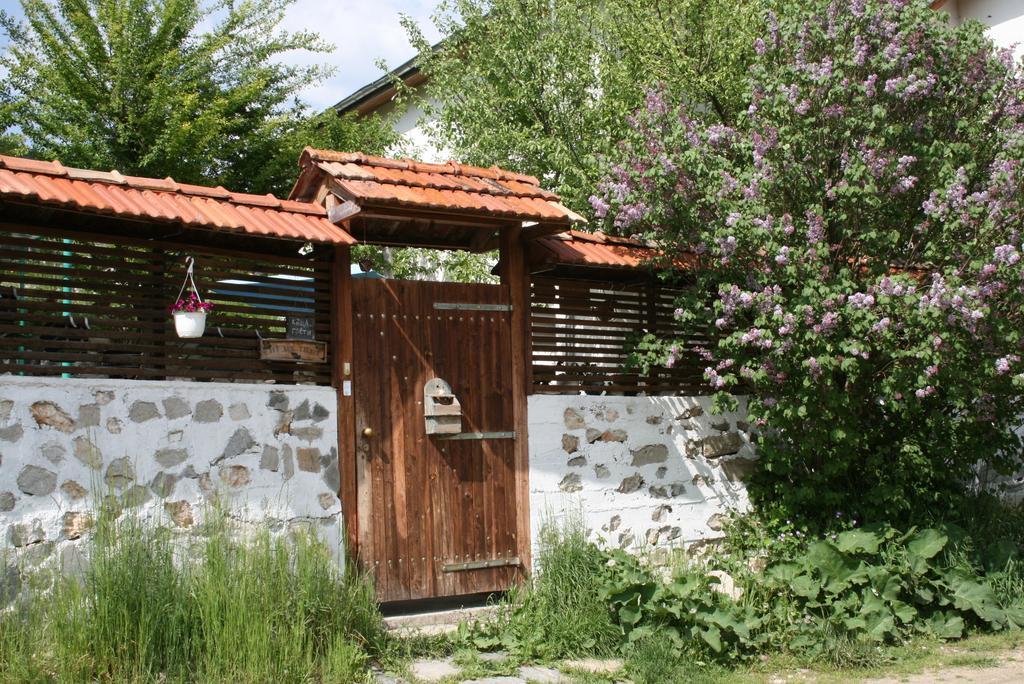 Guest House Kamenik Ягодина Экстерьер фото