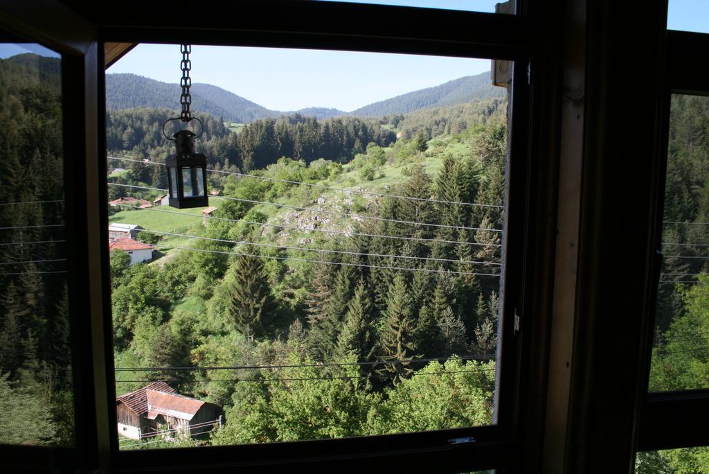 Guest House Kamenik Ягодина Номер фото