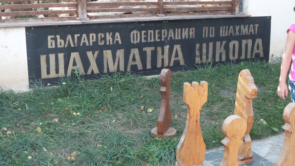 Guest House Kamenik Ягодина Экстерьер фото