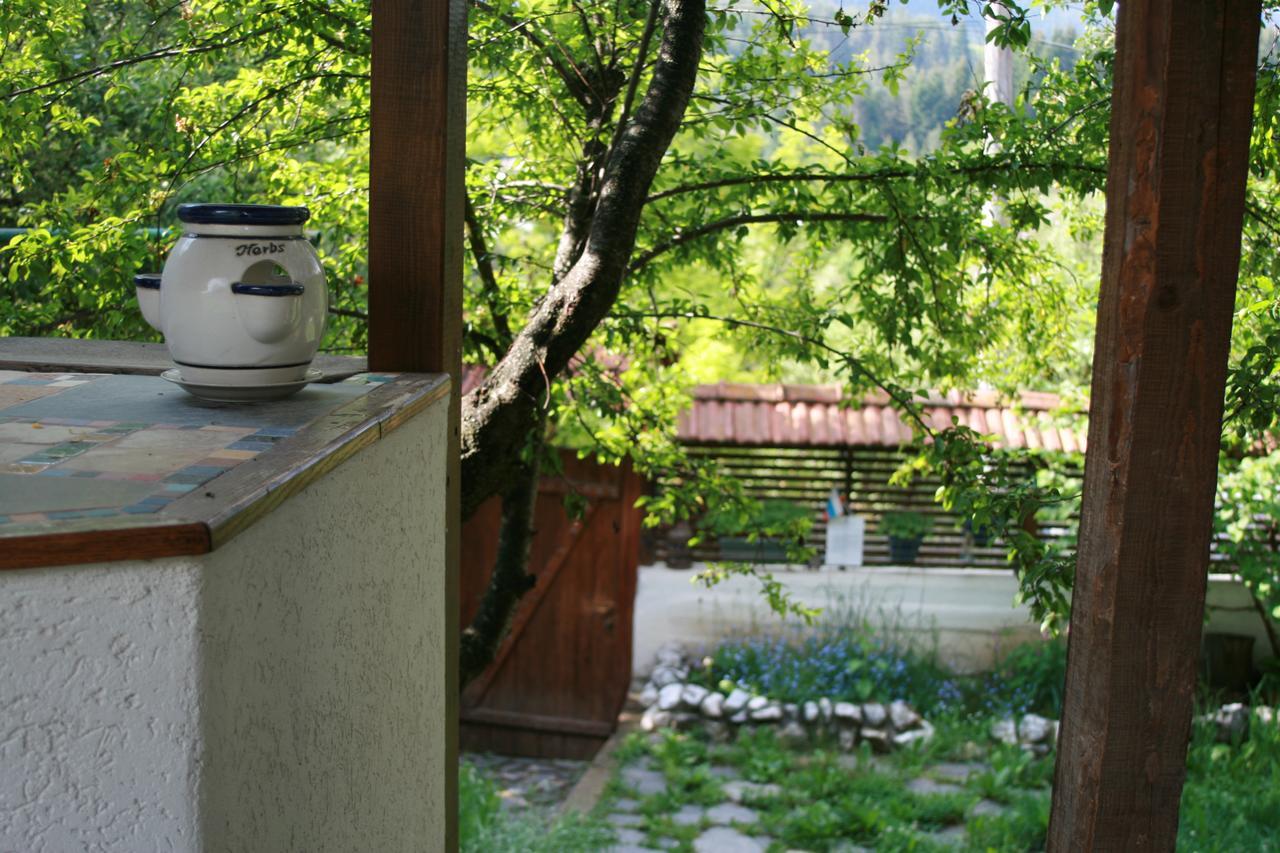Guest House Kamenik Ягодина Экстерьер фото
